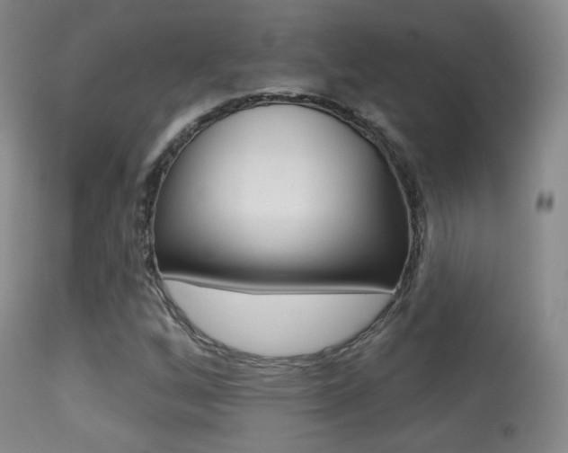 X0000113281256200909140933