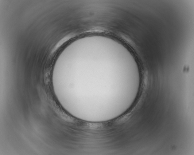 X0000113281258200909140933