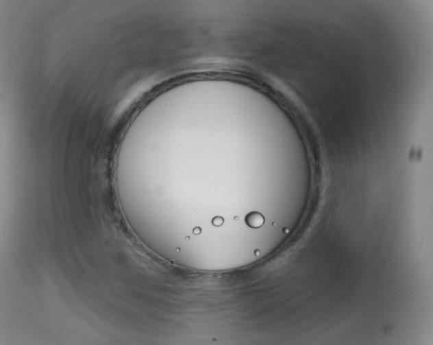 X0000113281259200909140933
