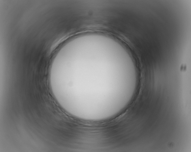 X0000113281261200909140933