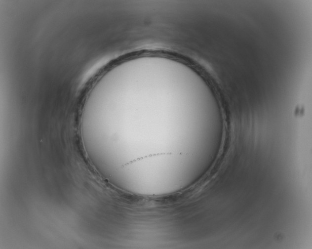 X0000113281263200909140933