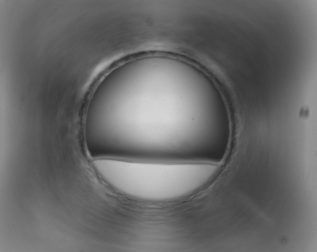 X0000113281264200909140933