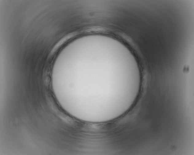 X0000113281266200909140933