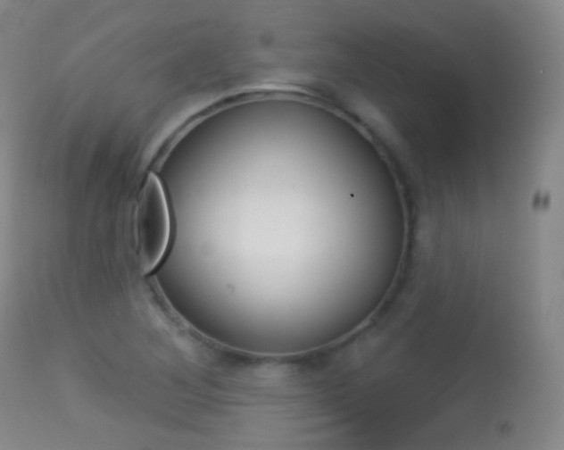 X0000113281268200909140933