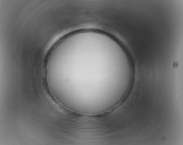 X0000113281270200909140933