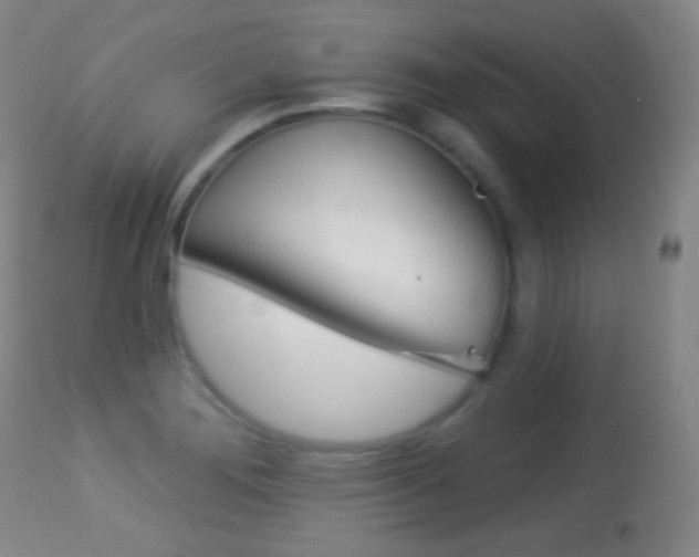 X0000113281276200909140933