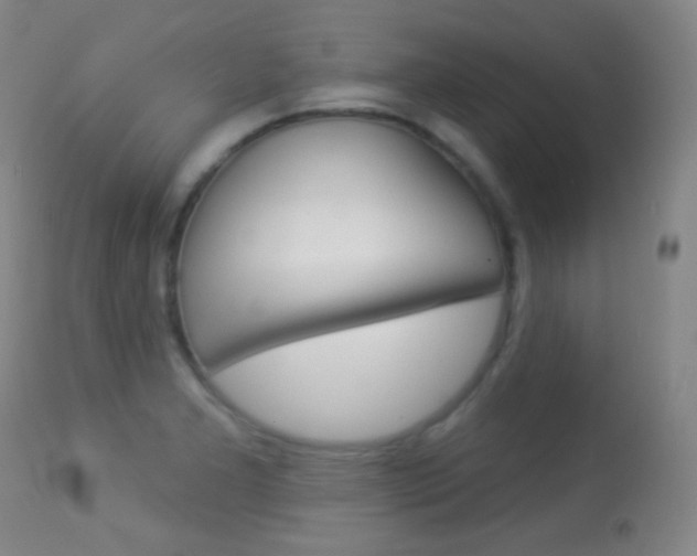 X0000113281277200909140933