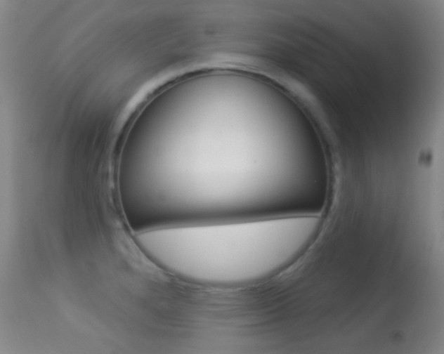 X0000113281280200909140933