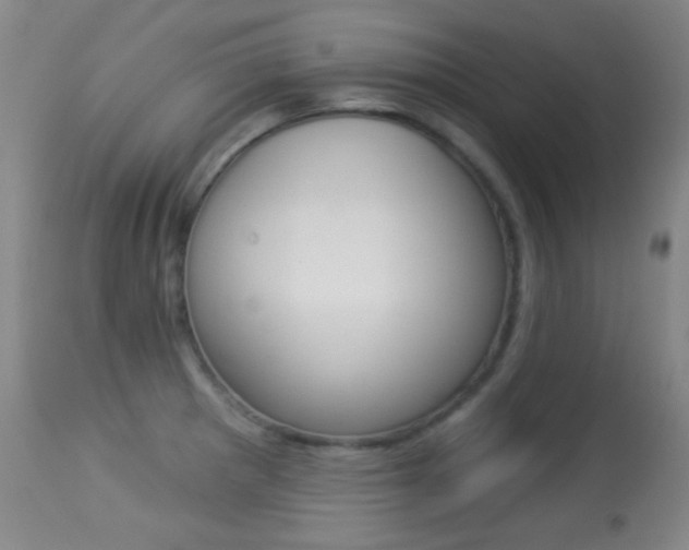X0000113281281200909140933