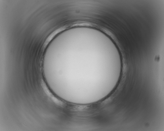 X0000113281282200909140932
