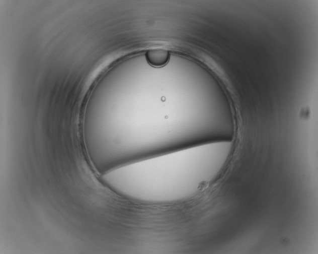 X0000113281283200909140932