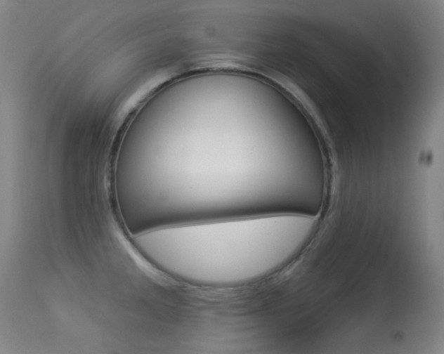 X0000113281285200909140932