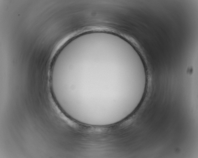 X0000113281286200909140932