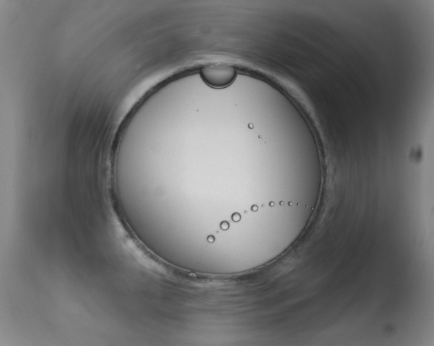 X0000113281287200909140932