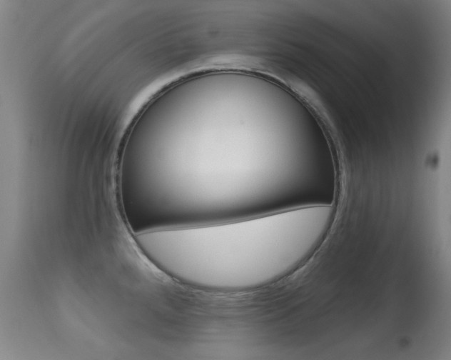 X0000113281288200909140932