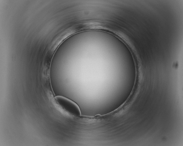 X0000113281289200909140932