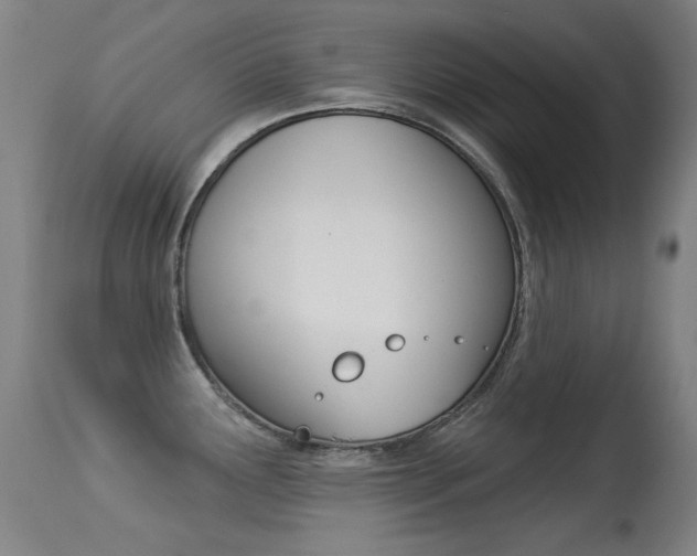 X0000113281291200909140932