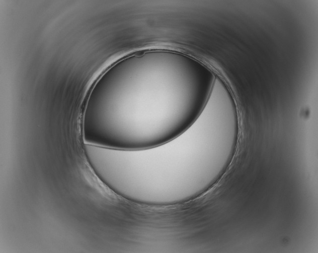 X0000113281292200909140932