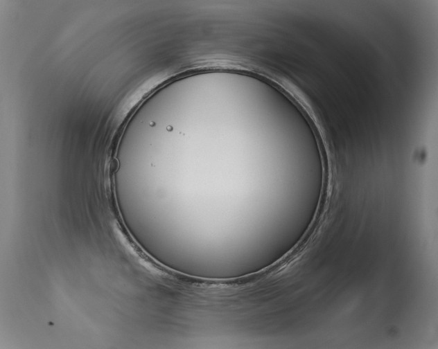 X0000113281293200909140932