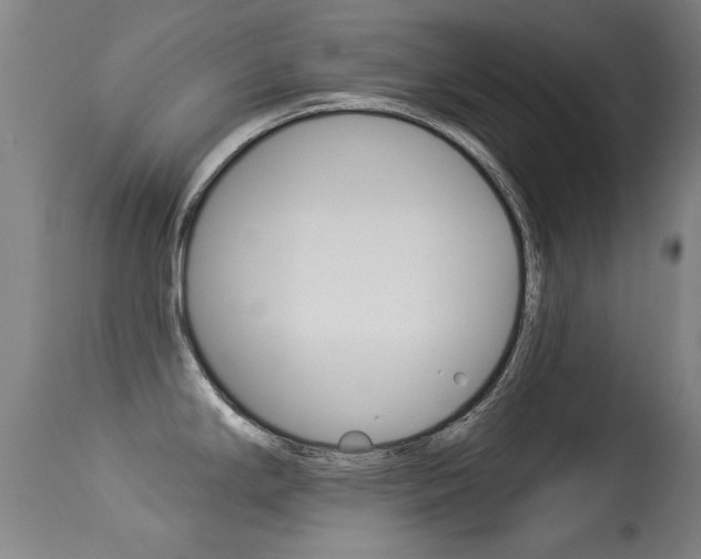 X0000113281294200909140932