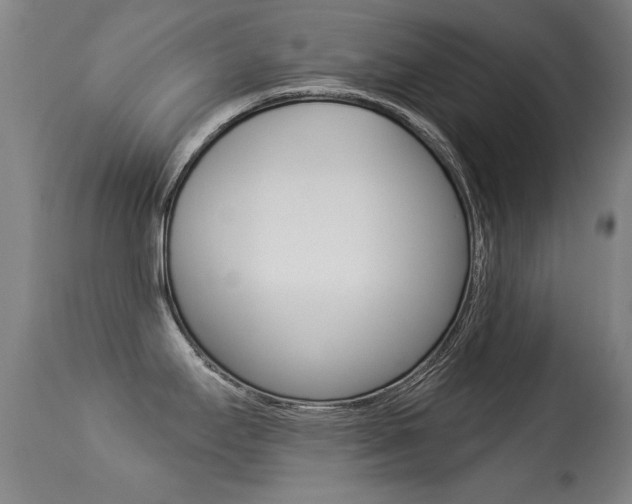 X0000113281295200909140932