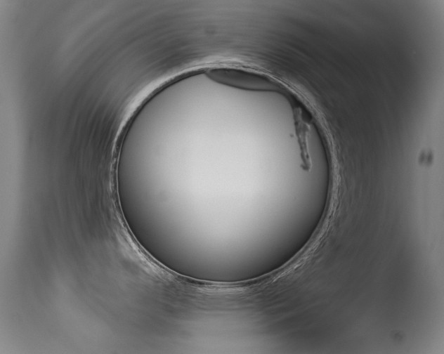 X0000113281296200909140932