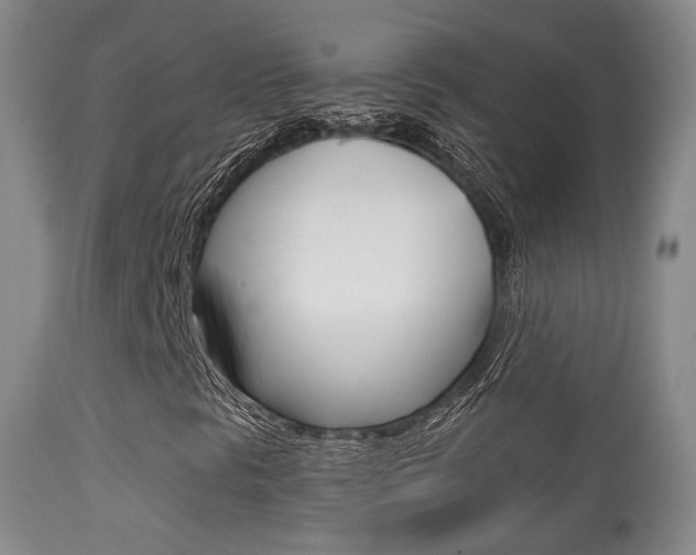 X0000113281297200909140932