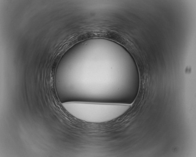 X0000113281298200909140932
