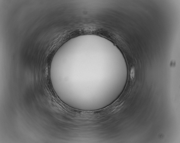 X0000113281299200909140932