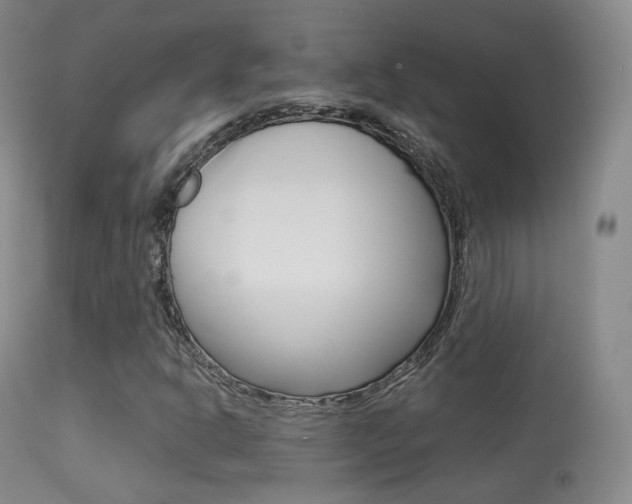 X0000113281302200909140932