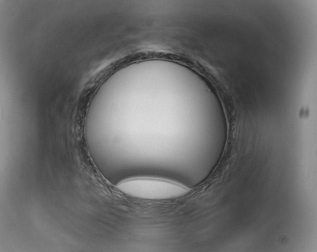 X0000113281303200909140932