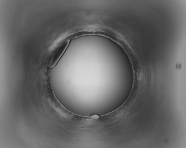 X0000113281304200909140932