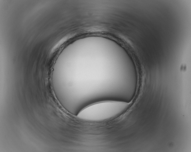 X0000113281306200909140932