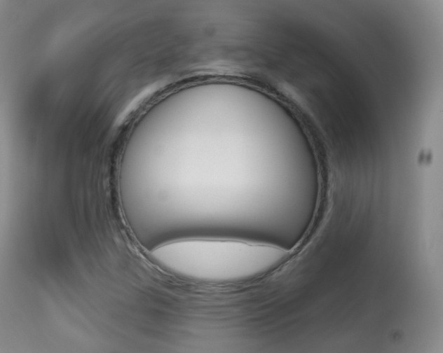 X0000113281307200909140932