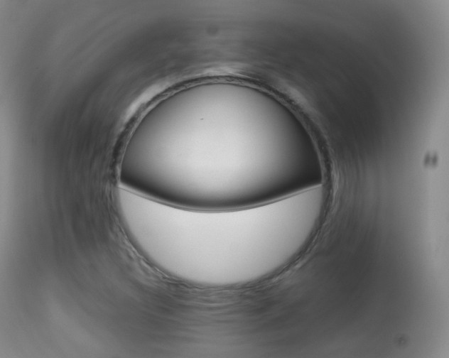 X0000113281308200909140932