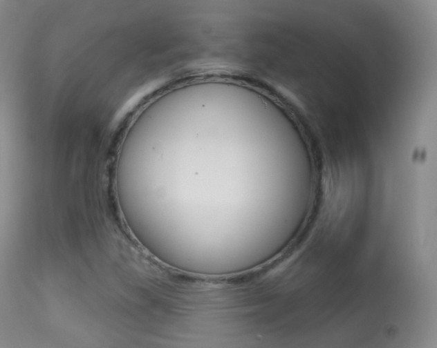X0000113281309200909140932