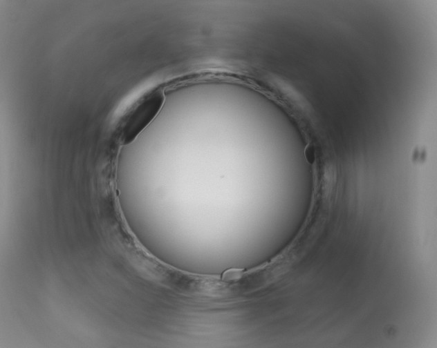 X0000113281310200909140932