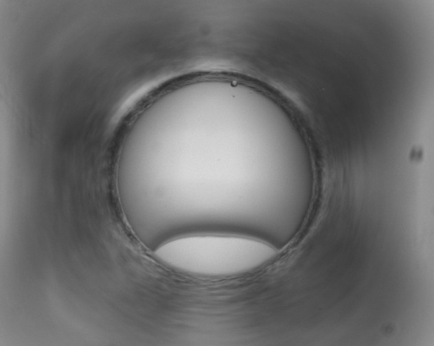 X0000113281311200909140932