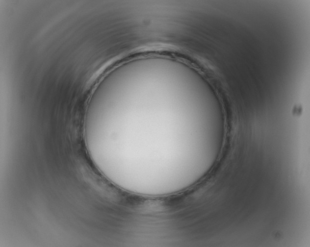 X0000113281313200909140932