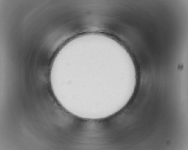 X0000113281314200909140932