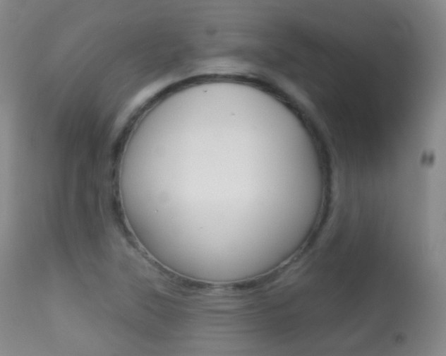 X0000113281315200909140932