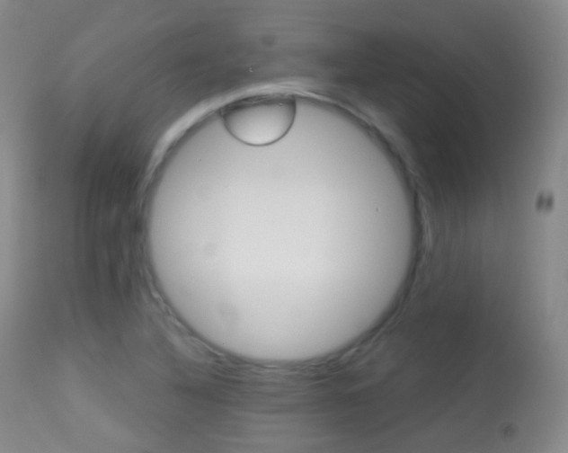 X0000113281316200909140932