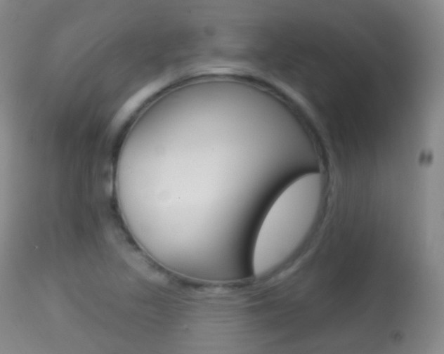X0000113281317200909140932