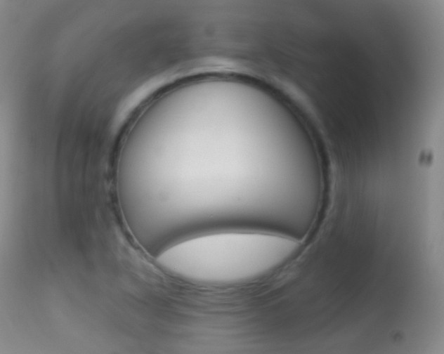 X0000113281318200909140932