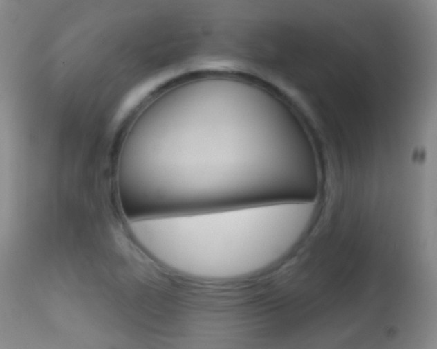X0000113281319200909140932