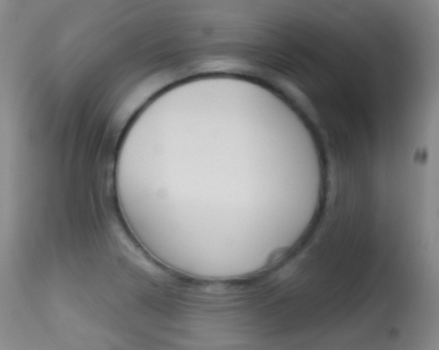 X0000113281322200909140932