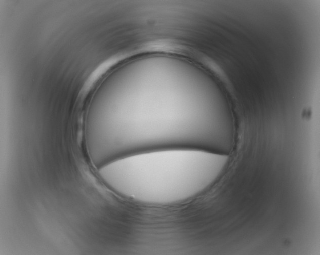 X0000113281323200909140932