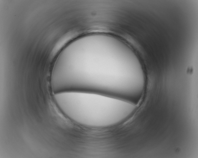 X0000113281325200909140932
