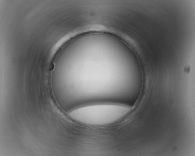 X0000113281326200909140932