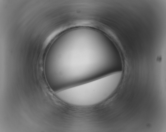 X0000113281328200909140932